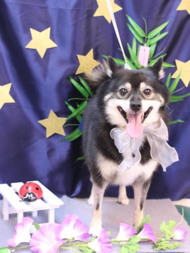 20230722琥太郎くん